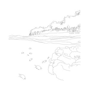 Digital coloring drawing in PDF for instant download &quot;Lady Elliot Island 01&quot;