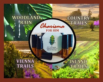 Ensemble d'échantillons de Cologne, 4 x 2 ml, « Charisma For Him », Brumes corporelles et capillaires personnalisées,Parfums hypoallergéniques avec huiles essentielles,Cadeau de senteurs pour hommes