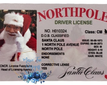 Lost Fake Id
