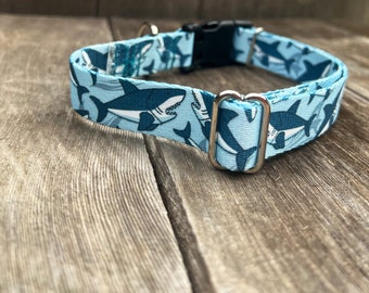 May include: A blue dog collar with a white shark print. The collar has a silver buckle and a black plastic buckle.