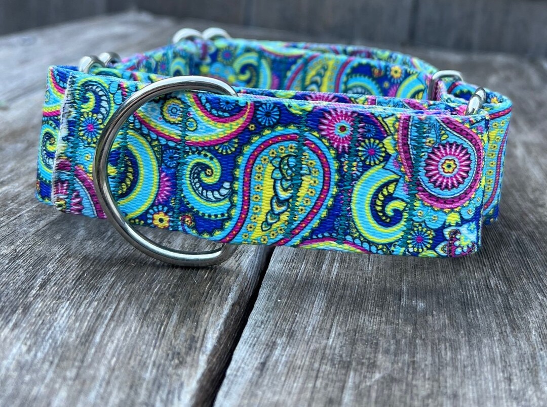 1.5inch Wide Colorful Paisley Martingale Dog Collar Slip on Etsy