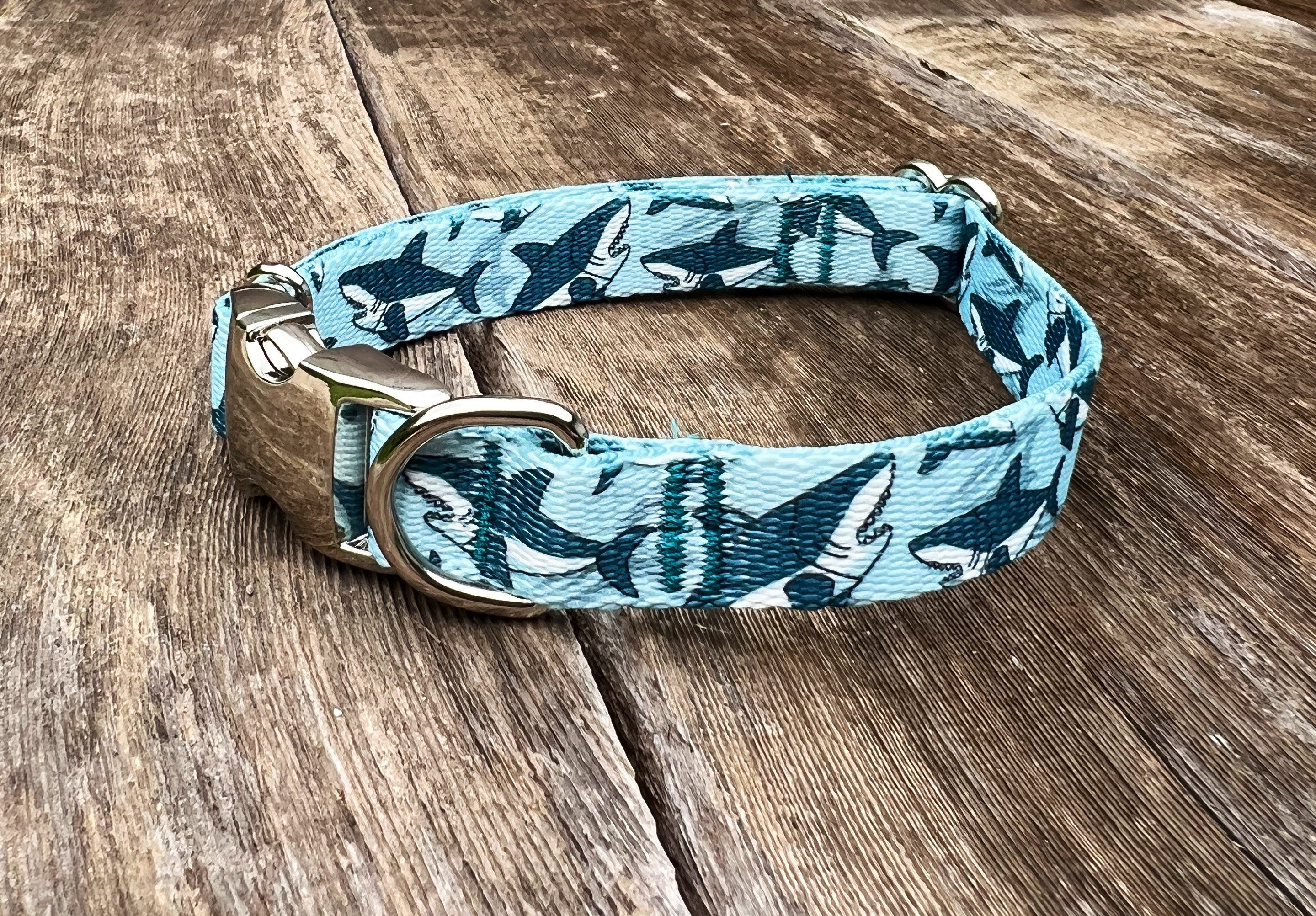 Personalized Dog Collar | Preppy Shark Dog Collar | Duke & Fox®