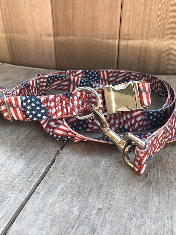 best hands free dog leash for biking Voyager BioThane Hands-Free Dog Leash