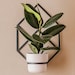 see more listings in the Wall Planters section