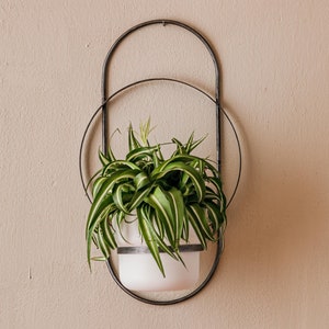 Hand Made Wall Planter Round Arch Style Set Vertical Garden for Home Office / Penthouse / Hand Welded Steel Flower Holder Flower Pot image 1