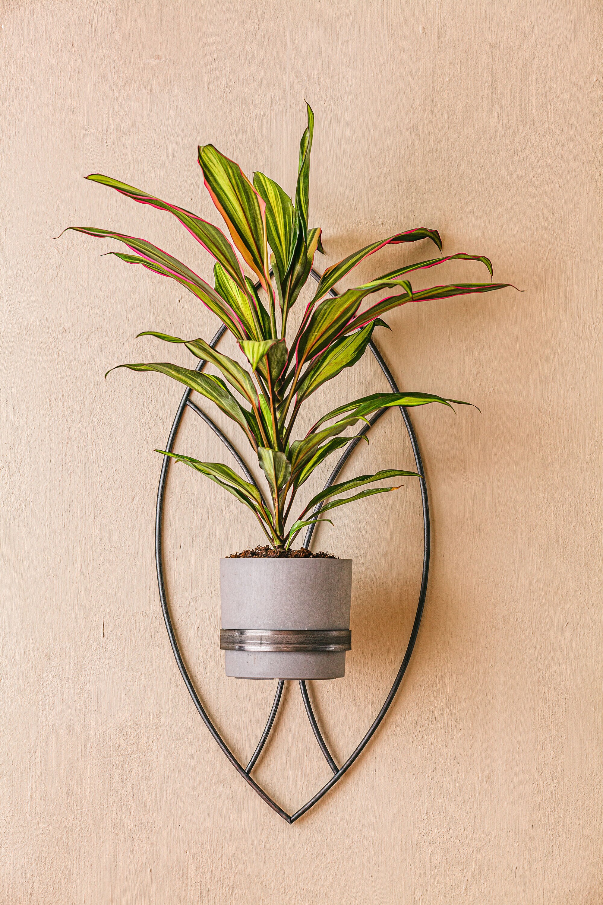 Ibigbean Metall-Pflanzenaufhänger Schwarz – Übertopf Mit Kette Für Wand/Decke, Durchmesser 15 Cm, Moderner Blumenhalter