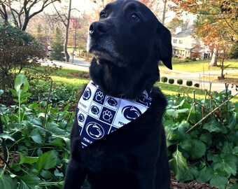 penn state dog jersey