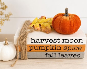 Fall Decor Book Stack| Tired Tray Decor| Farmhouse Wooden Books|Pumpkins & Leaves