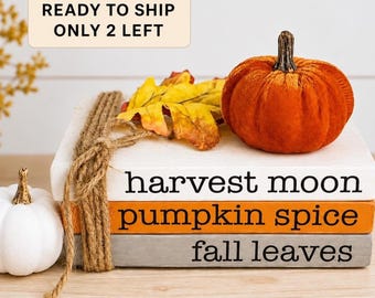 Fall Decor Book Stack| Tired Tray Decor| Farmhouse Wooden Books|Pumpkins & Leaves