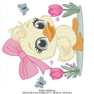 Duck Egg Embroidered Lace Eb5010 main image 1