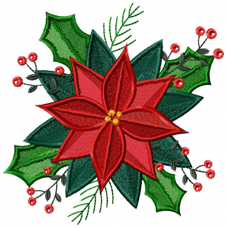 油絵 クリスマスの花 赤 ポインセチア 油絵 クリスマスの花 赤 ポインセチア 油絵 クリスマスの花 赤