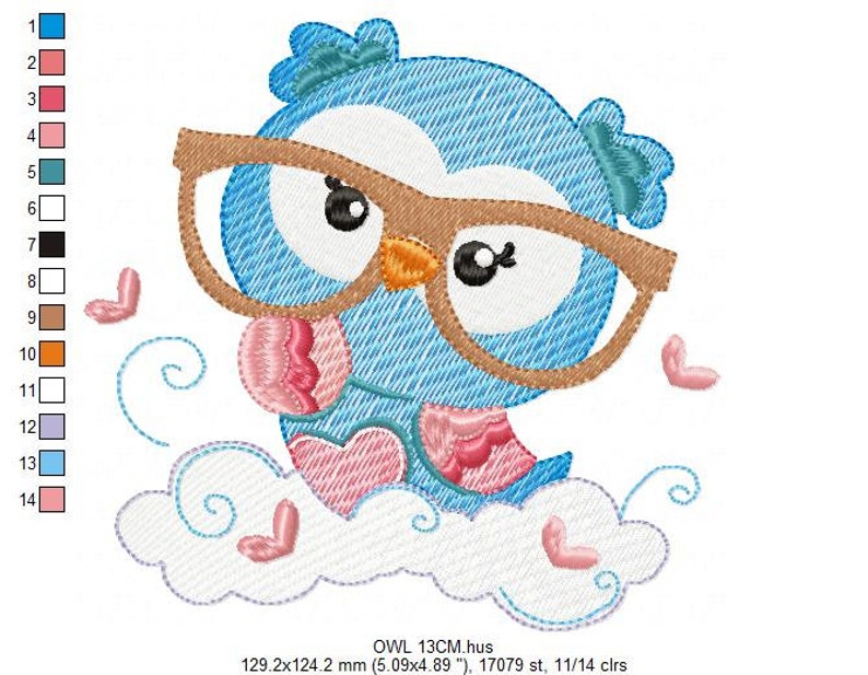 May include: An embroidered design of a blue owl wearing glasses and sitting on a white cloud with pink hearts. The owl is wearing a pink and red scarf. The design is 129.2 mm by 124.2 mm and has 17,079 stitches.