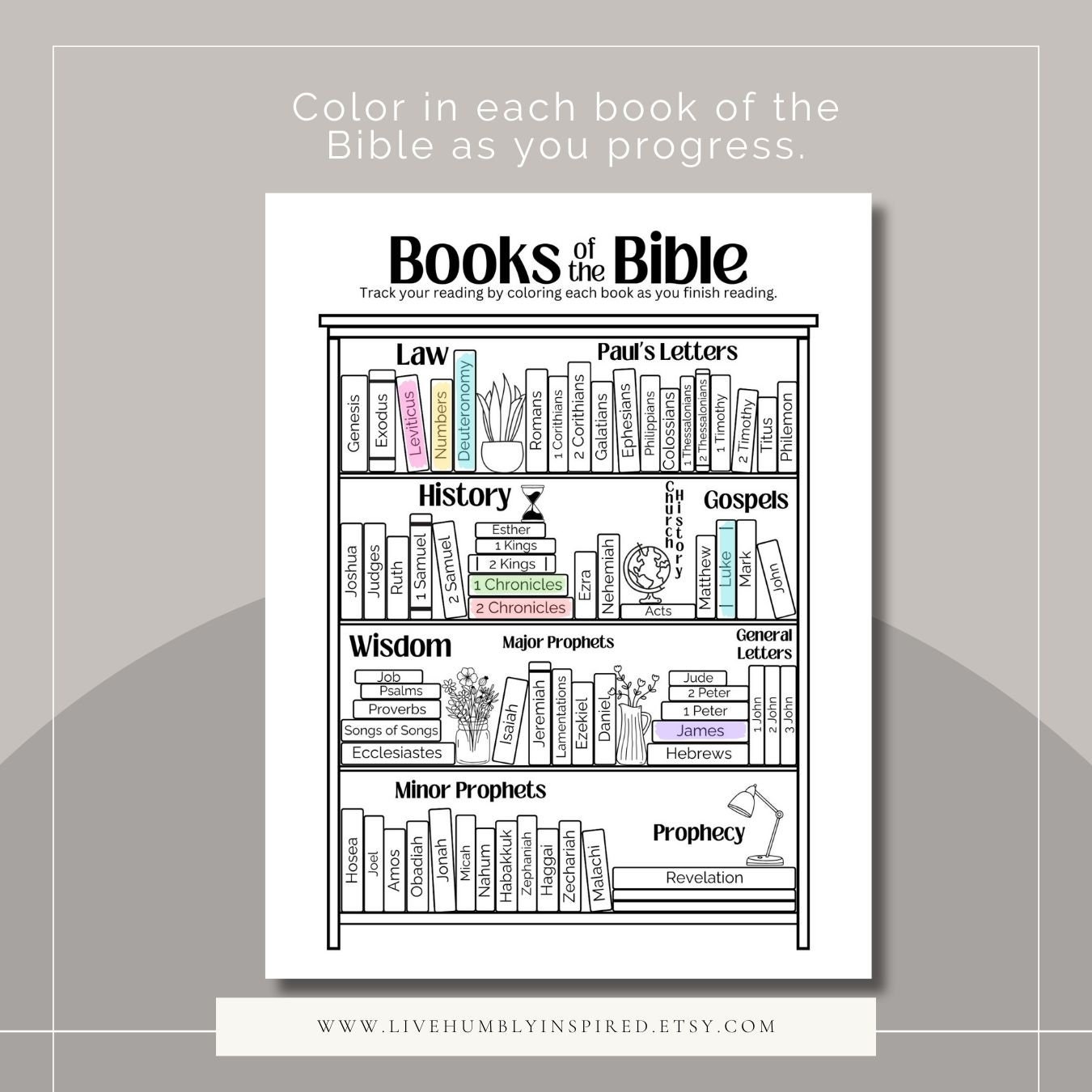 Bundle Books of the Bible Coloring Tracker Books and Chapter Tracking ...