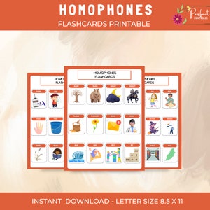 Cartes flash pour homophones, 60 paires de cartes flash pour jeu de mémoire sur les homophones, feuille de travail imprimable sur les homophones