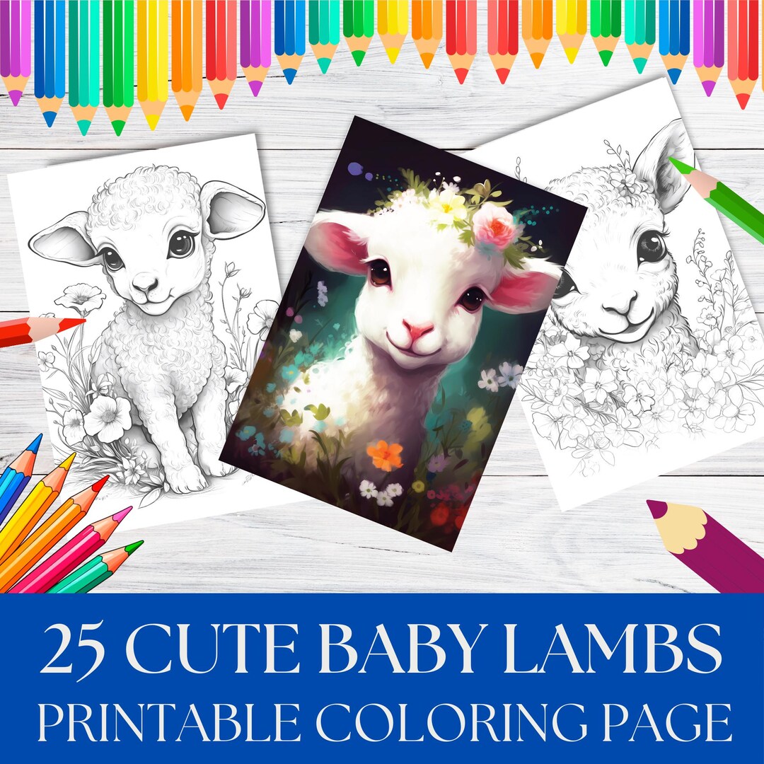 Baby Lamb Coloring Pages for Teen, Adults Men Women & Seniors Printable ...