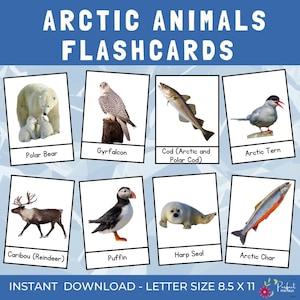 Cartões de memória de animais do Ártico com imagem real | Cartões Montessori de aprendizagem interativa de animais polares, vocabulário de inverno