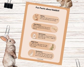 Life Cycle of a Rabbit Bunny Printable Learning Activity for