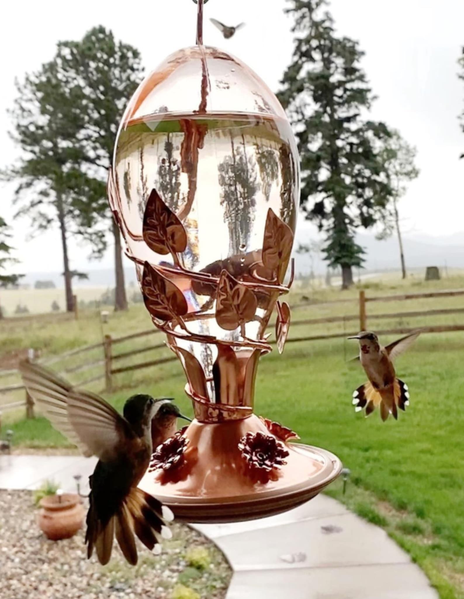 Copper Hummingbird Feeder Copper Humming Bird Feeder Etsy