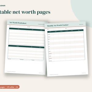 Net Worth Tracker Spreadsheet, Monthly Assets and Debts Dashboard, Google Sheets, Excel, Printable PDF image 5
