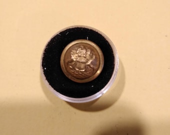 May include: A gold-colored button with a raised design of an eagle with wings spread. The button is in a small, clear container with a black velvet lining.
