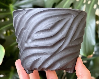 Small Black Ceramic Mini Planter Pot with Drainage Holes