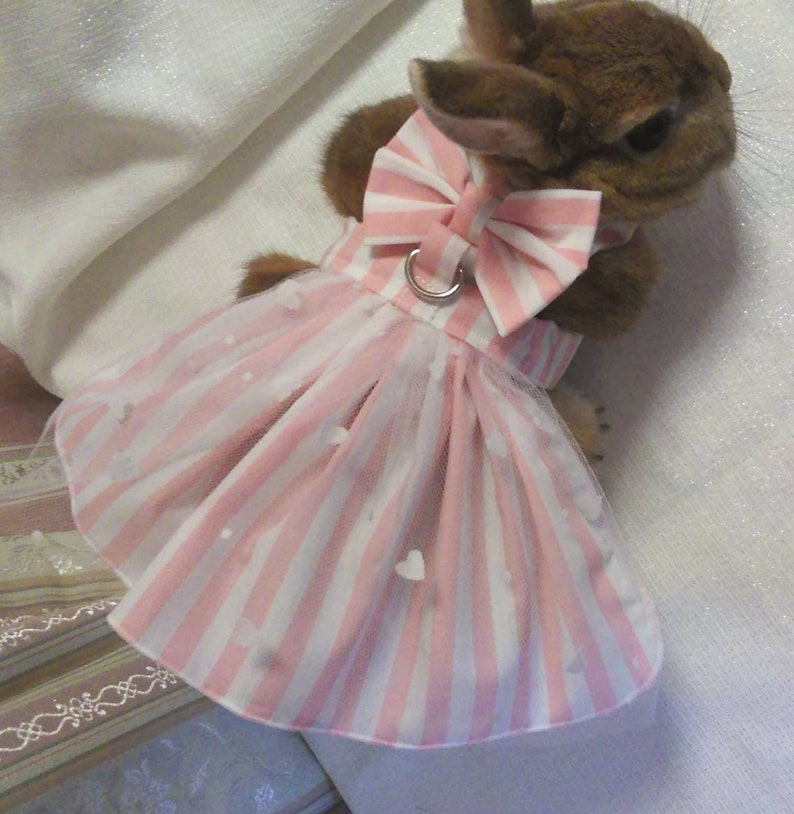 Stripe Dress For Rabbit pet clothes costume Harness Etsy