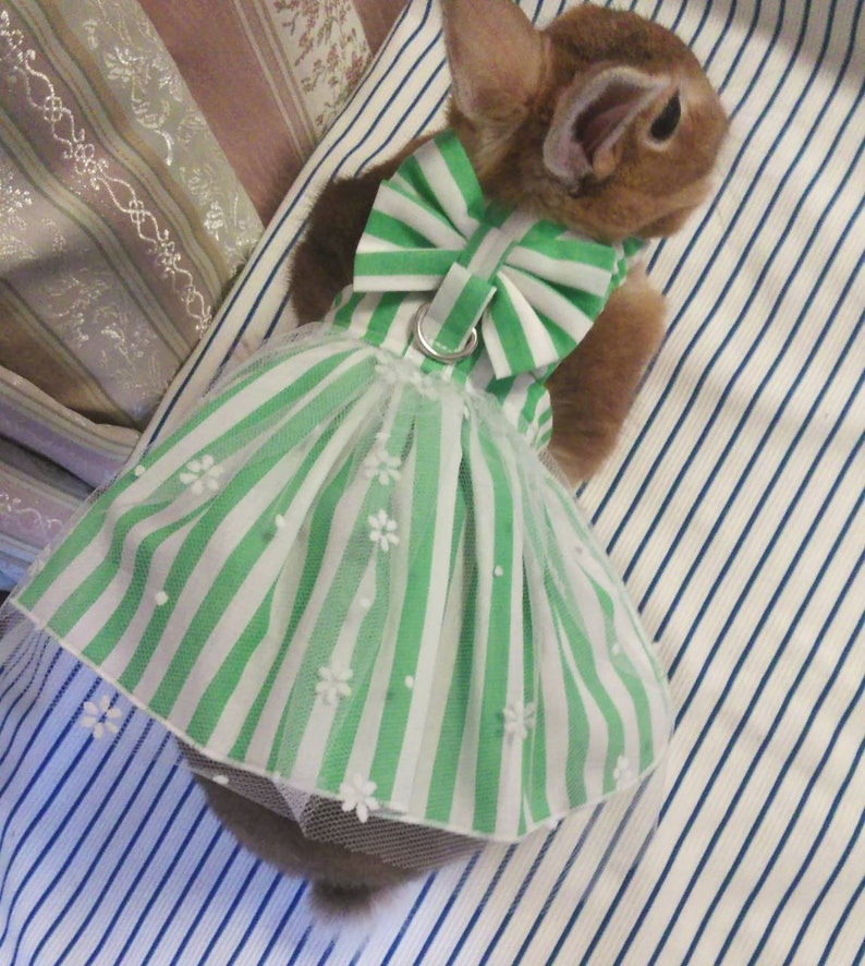 Stripe Dress For Rabbit pet clothes costume Harness Etsy