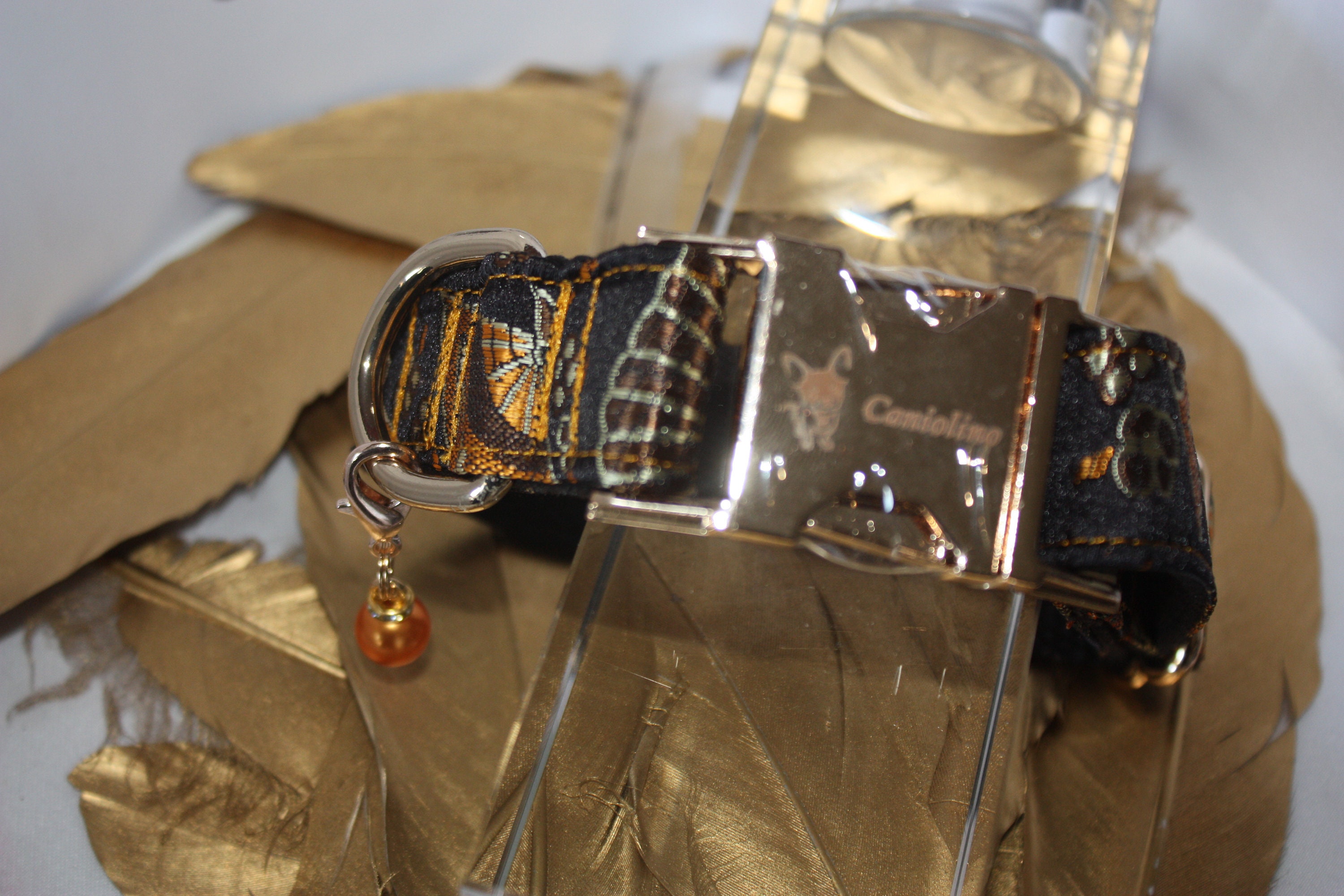 Collier Pour Chien Modèle Eventail