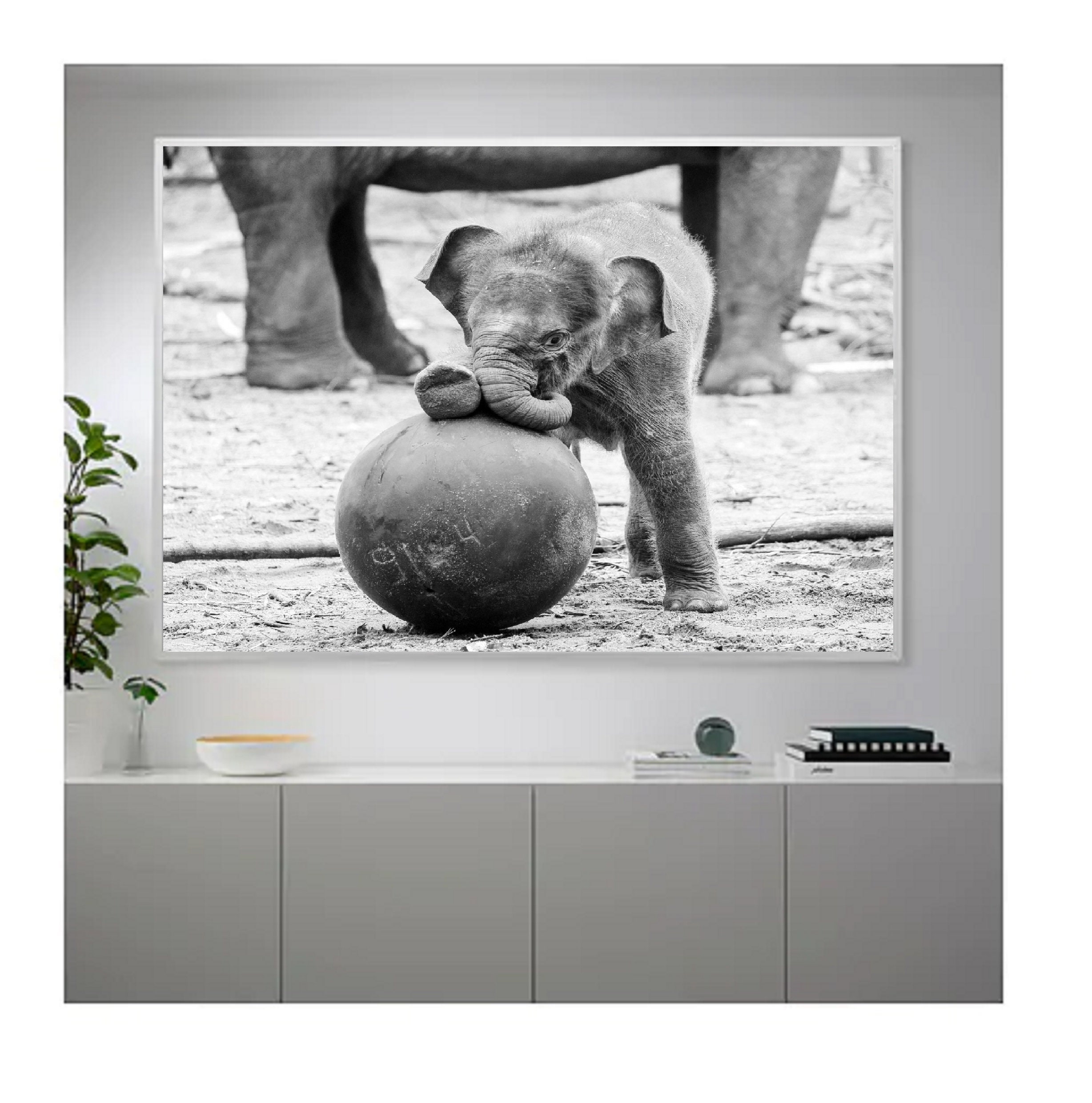 Animal Wall Art Printable elephant black and white animal Etsy