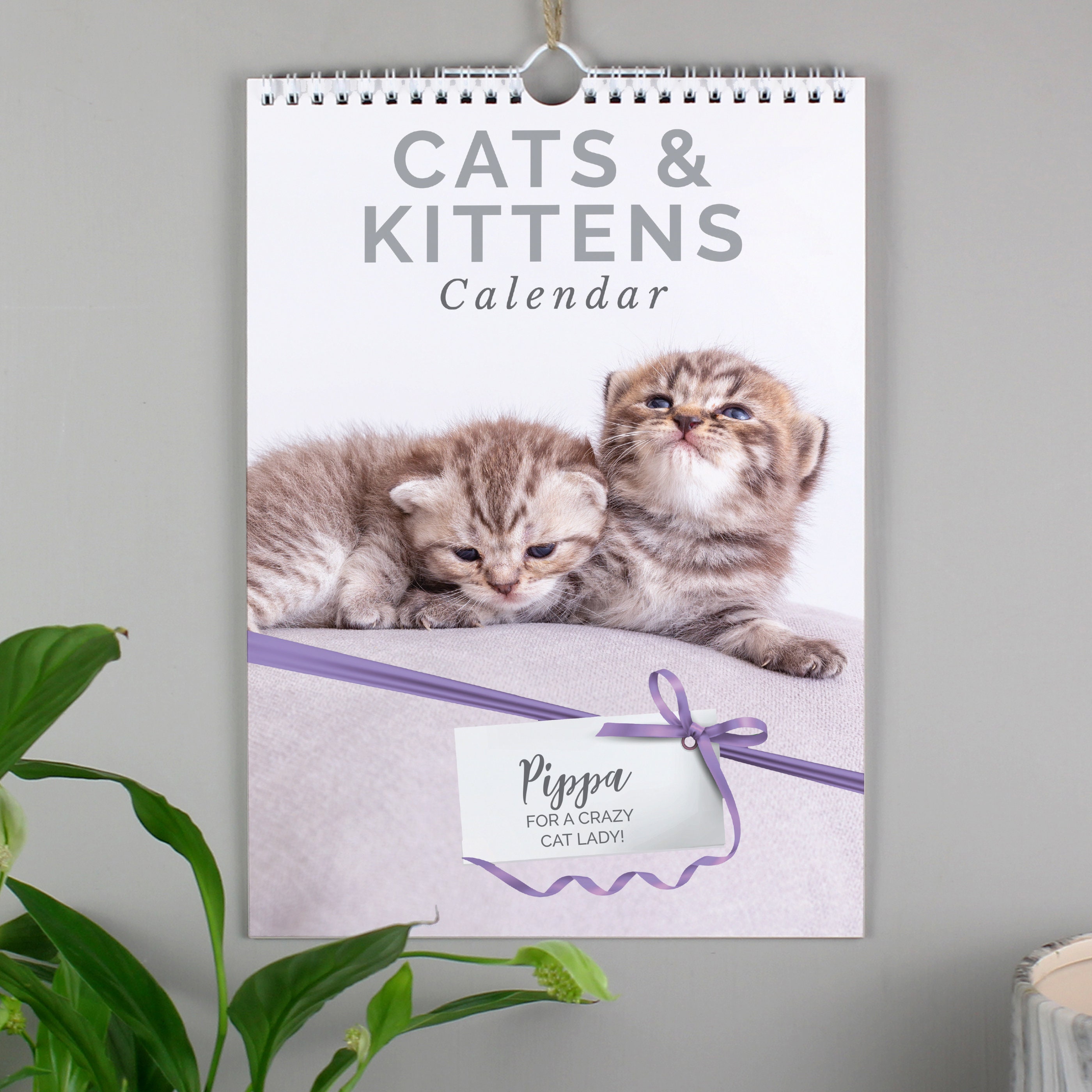 Personalise Cat Lovers Calendar Planner A4 Desktop New Etsy