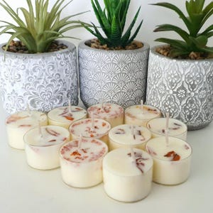 May include: A group of 12 white tea light candles with orange and red flecks. The candles are arranged in a circle on a white surface. There are three potted plants in the background.