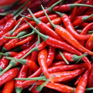 Chilipeper Zaden