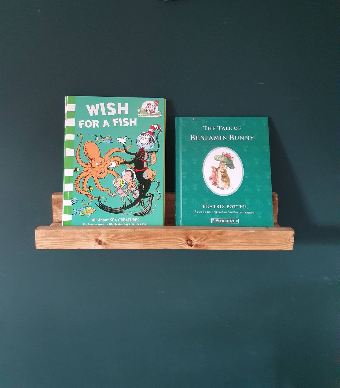 Book Ledge Childrens Book Shelf Wooden Picture or Book Shelf Wall Shelf