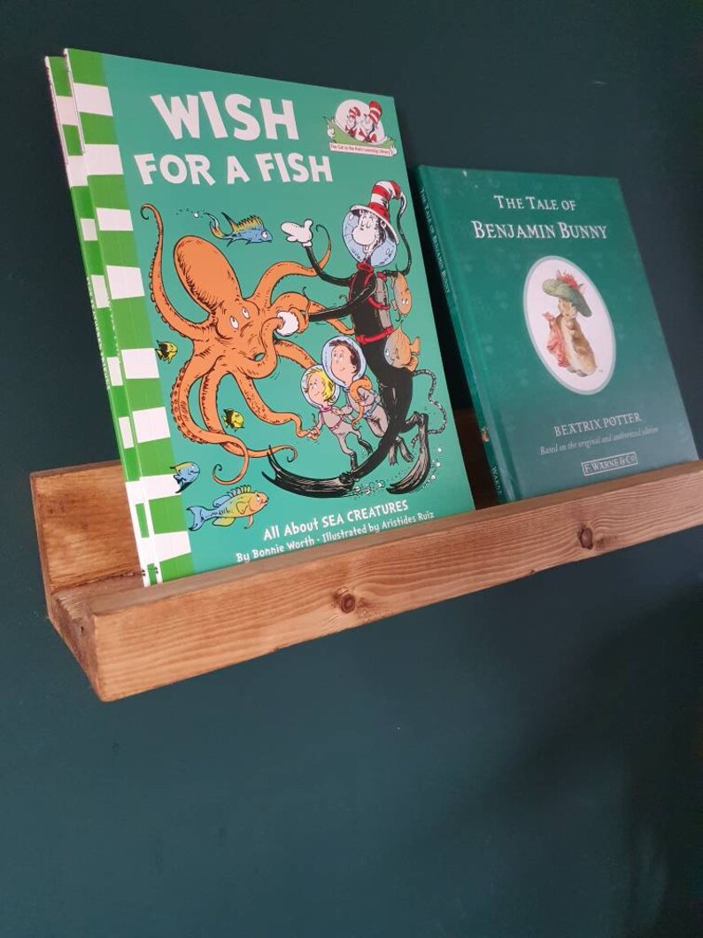 Book Ledge Childrens Book Shelf Wooden Picture or Book Shelf Etsy