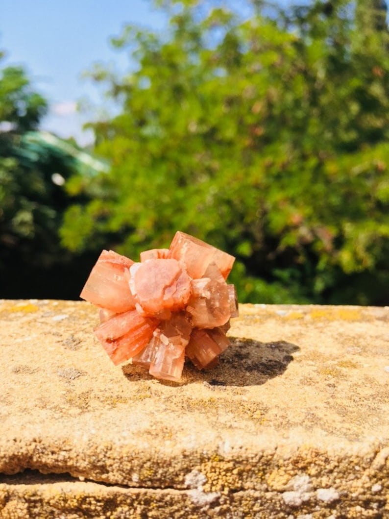 Pu&ograve; includere: Un gruppo di cristalli di selenite rosa e bianchi, noti anche come rosa del deserto, con una texture naturale e ruvida. I cristalli sono disposti in una forma circolare, che ricorda un fiore.