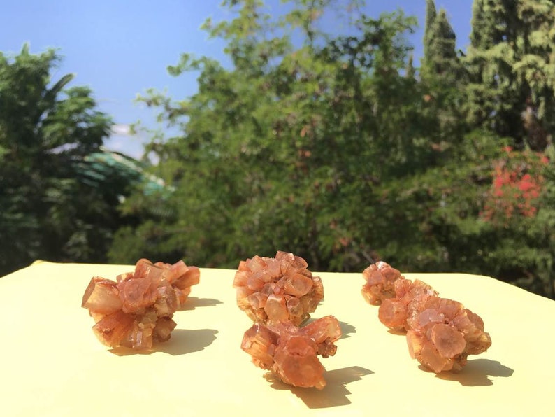 Pu&ograve; includere: Cinque gruppi di cristalli di selenite marroni su una superficie gialla. I cristalli sono traslucidi e hanno una tonalit&agrave; leggermente rossastra.