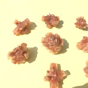 Pu&ograve; includere: Otto gruppi di cristalli di selenite marroni su uno sfondo giallo. I cristalli sono di varie forme e dimensioni, alcuni sono a forma di stella e altri sono pi&ugrave; arrotondati.