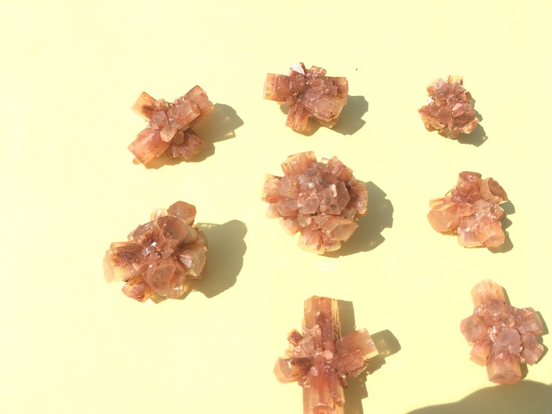 Pu&ograve; includere: Otto gruppi di cristalli di selenite marroni su uno sfondo giallo. I cristalli sono di varie forme e dimensioni, alcuni sono a forma di stella e altri sono pi&ugrave; arrotondati.