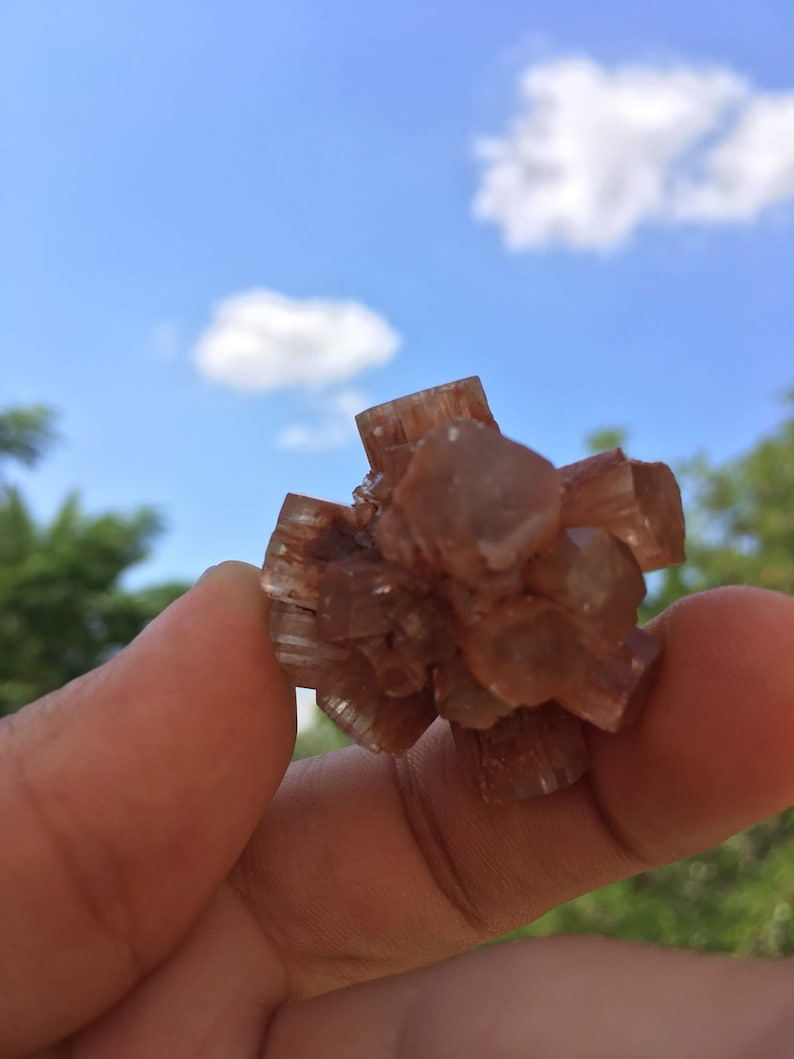 Pu&ograve; includere: Un gruppo di cristalli marroni e trasparenti, che assomigliano a un fiore, tenuti in una mano contro un cielo blu con nuvole bianche.