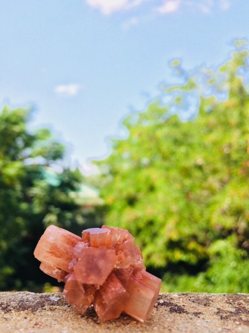 Pu&ograve; includere: Un gruppo di cristalli di selenite rosa, con una texture naturale e ruvida. I cristalli sono disposti in un gruppo, con alcuni dei cristalli che puntano verso l'alto. I cristalli sono posizionati su uno sfondo sfocato di fogliame verde e cielo blu.