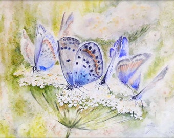 Blue butterfly original  wall art