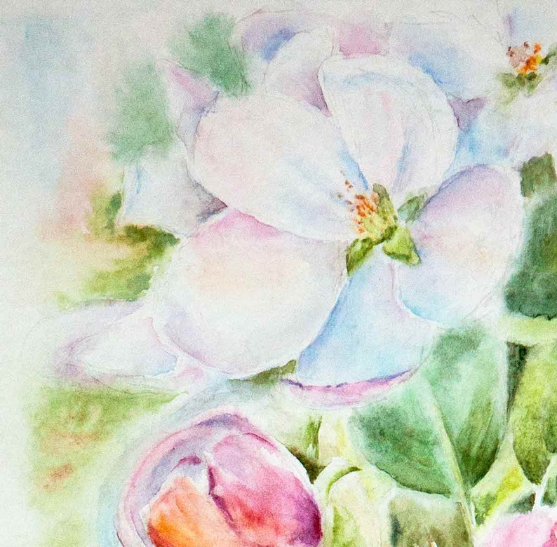 Apple blossom watercolor print. White flowers wall art image 8