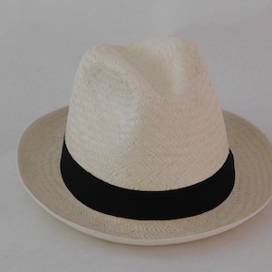 Fedora Hat Free Shipping