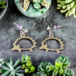 Igel Geschenke, Silber Ohrstecker, Geschenk für Gartenliebhaber - niedliche Igel