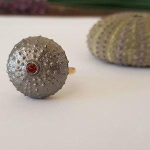 Anillo de erizo de mar, anillo de erizo de mar, erizo de mar de plata, joyas del océano, anillos de verano, anillo náutico, anillo de concha marina, anillo único, anillo de citrino, anillo de verano