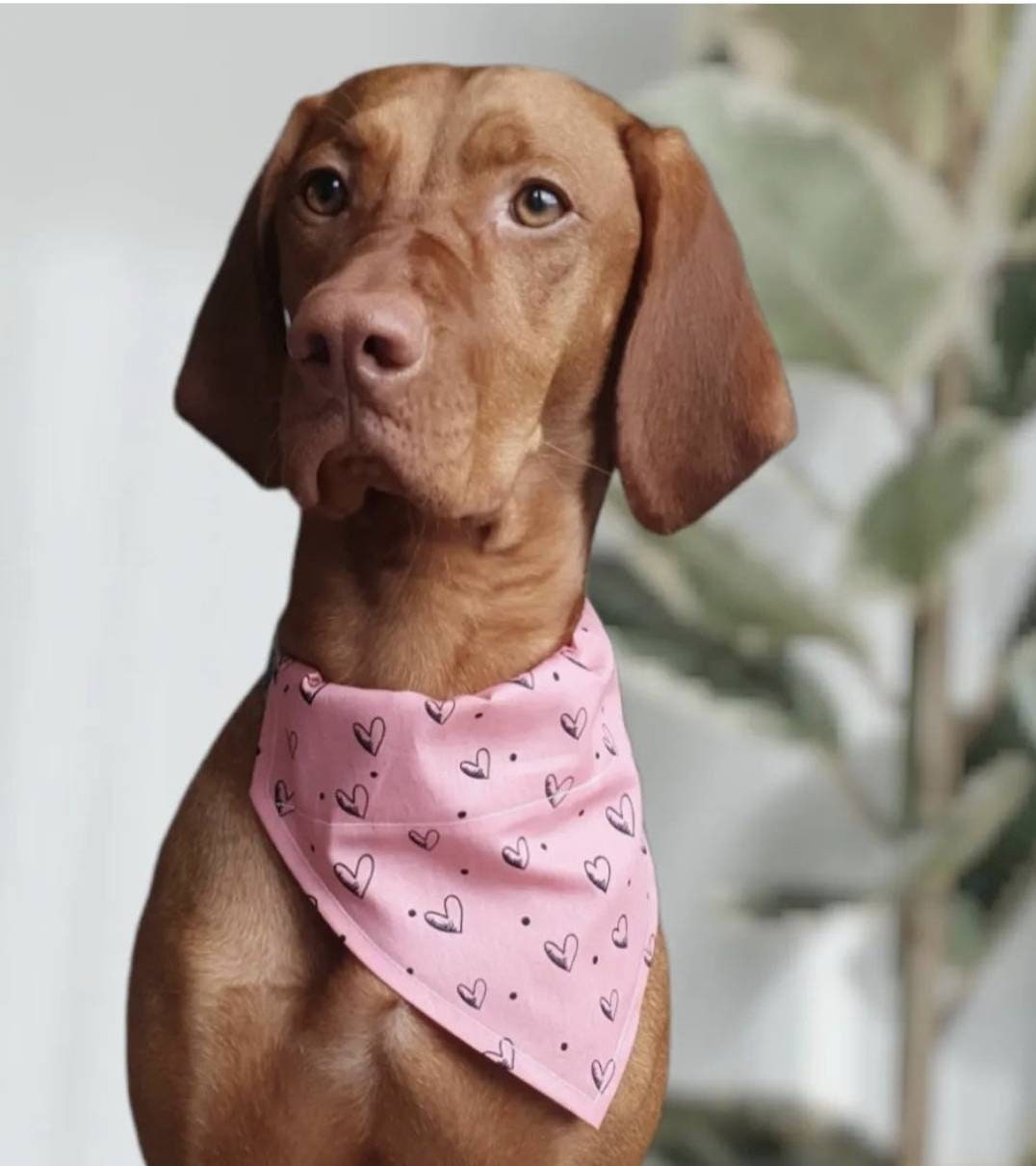 Cat Bandana Scarf Dog Bandana Scarf Pet Fashion Scarf Tie on Classic Linen Pet Bandana Scarf Light Pink Summer Bandana 