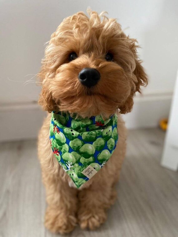 Brussel sprout dog clearance toy