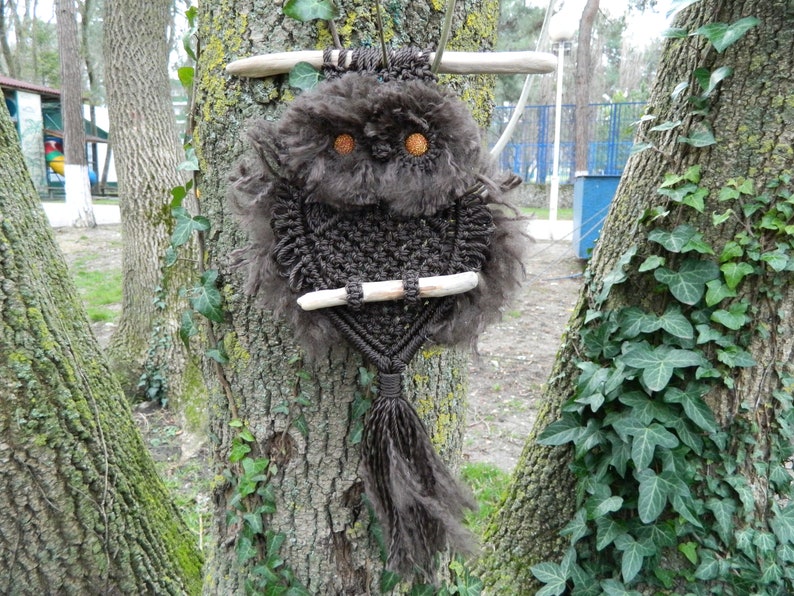 Búho decoración cocina Búho amante regalos búho granero | Etsy