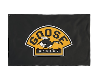 Bandiera del festival della Boston Goose Band Lot