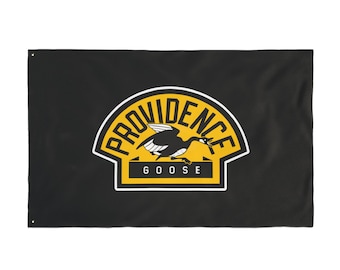 Bandiera del festival della Providence Goose Band Lot